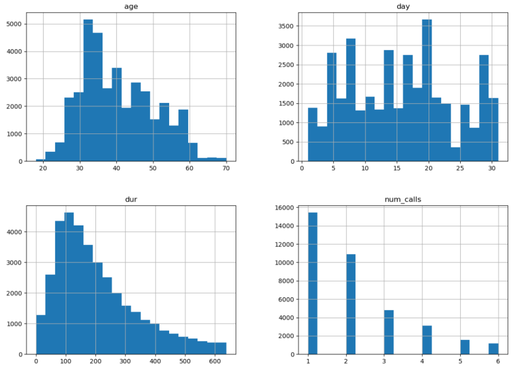 Numerical variables histogram 